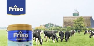 So sánh sữa bột Enfamil và sữa bột Frisolac ưu nhược điểm