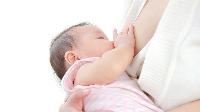 04 loại thực phẩm cực lợi sữa cho bà bầu.