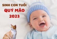 Con sinh năm 2023 hợp với ba mẹ tuổi nào?