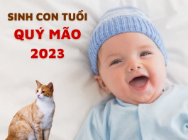 Con sinh năm 2023 hợp với ba mẹ tuổi nào?