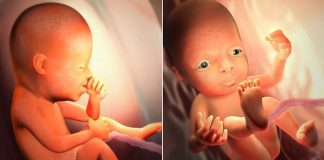 07 thời điểm vàng trong thai kỳ để con phát triển tốt nhất