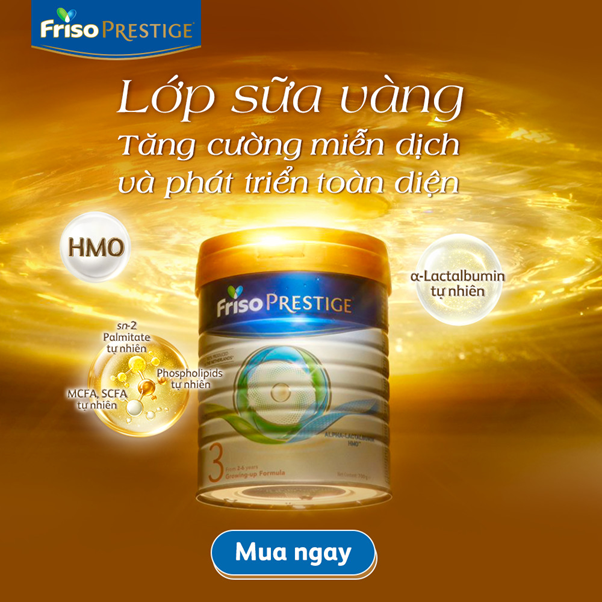 sua-Friso-Prestige-4