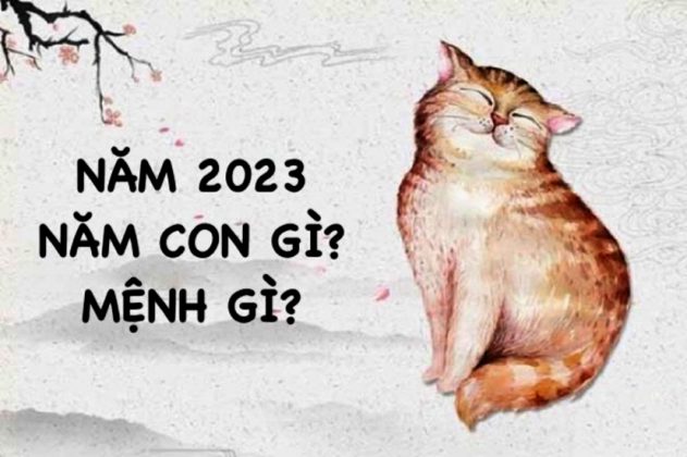 GIẢI ĐÁP Sinh con năm 2023 thuộc mệnh gì Cung gì Có tốt không