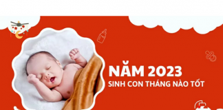 Sinh con trai năm 2023 tháng nào tốt, gặp nhiều may mắn?