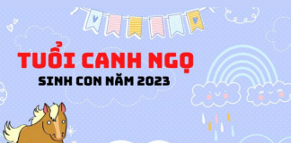Tuổi Canh Ngọ sinh con gái năm 2023 Quý Mão có tốt không?