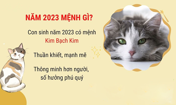 dat-ten-con-gai-nam-2023-5