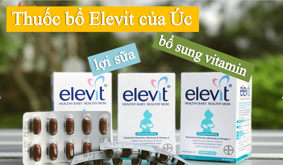 postpartum-mother-needs-supplements-1.png