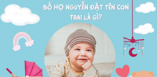 Bố họ Nguyễn đặt tên con trai là gì làm rạng danh gia đình và dòng tộc? bo-ho-nguyen-dat-ten-con-trai-la-gi-4