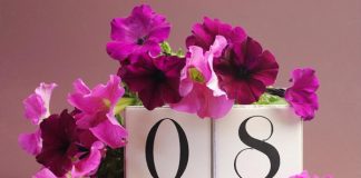 150+ lời chúc ngày mùng 8 tháng 3 cho mẹ, vợ bầu, người yêu hay, ý nghĩa