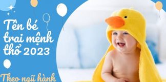 Gợi ý 50+ tên bé trai mệnh thổ 2023 theo ngũ hành