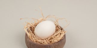 Bà bầu ăn trứng ngỗng có tốt không? Nên ăn vào thời gian nào?