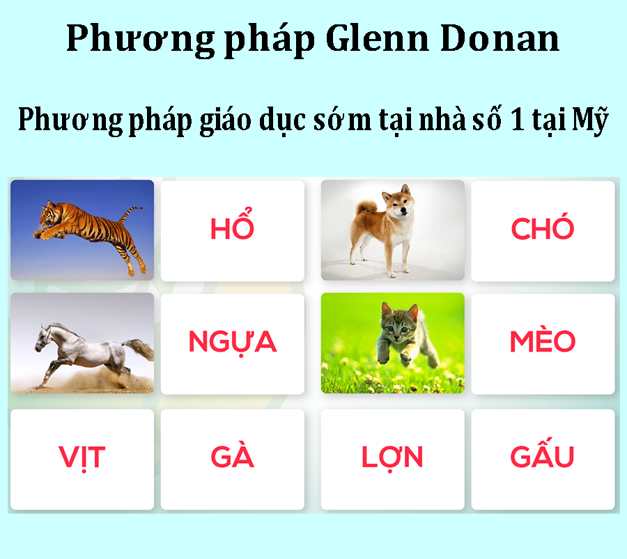 phuong-phap-giao-duc-som-2