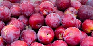 Có bầu ăn mận được không? 3 cách sơ chế mận cho mẹ bầu?