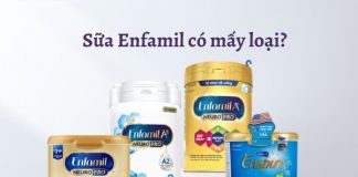 Sữa Enfamil có mấy loại? Giá bao nhiêu? Mua ở đâu chính hãng?