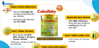 Khám phá sữa Colosbaby có ngọt không, có phát triển trí não không?