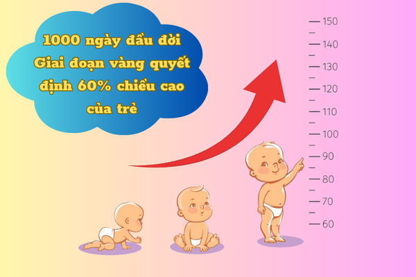 1000 ngày đầu đời: Giai đoạn vàng quyết định 60% chiều cao của trẻ hay nhất