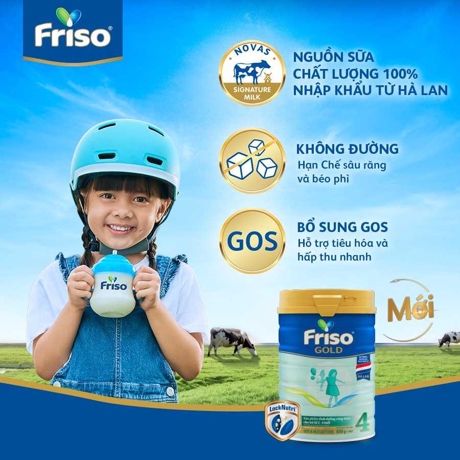 friso-gold-4-1