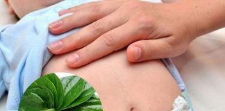 Hơ lá trầu không cho trẻ sơ sinh có công dụng gì? Có nên hơ không?