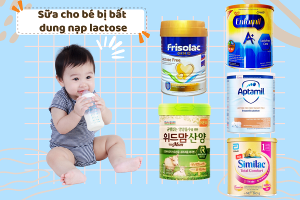 sữa free lactose