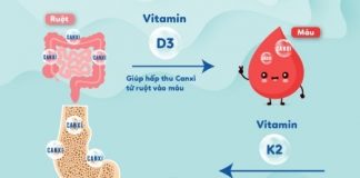 Vitamin D3 và D3K2 khác nhau như thế nào? D3-va-D3K2-khac-nhau-nhu-the-nao-3