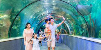 Top 7 địa điểm vui chơi cho bé ở Hà Nội được yêu thích nhất dia-diem-vui-choi-cho-be-o-ha-noi