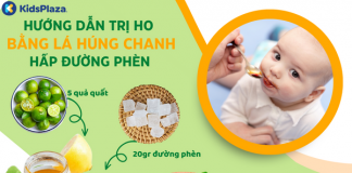 Hướng dẫn trị ho bằng lá húng chanh hấp đường phèn Huong-dan-tri-ho-bang-la-hung-chanh-hap-duong-phen