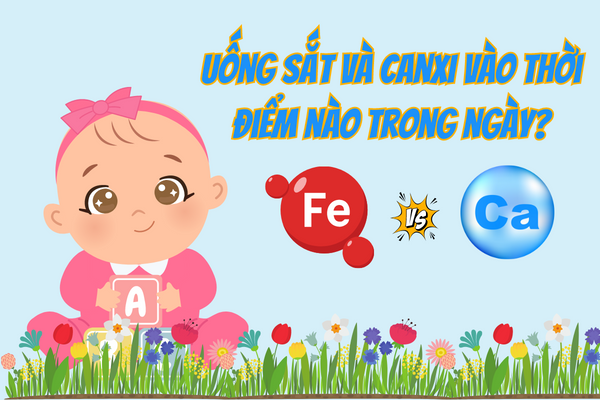 Uong-sat-va-canxi-vao-thoi-diem-nao-trong-ngay-3.jpg