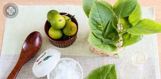 4 Mẹo trị ho bằng húng chanh cho trẻ nhỏ cực hiệu quả