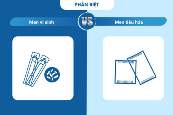 men-vi-sinh-va-men-tieu-hoa-4