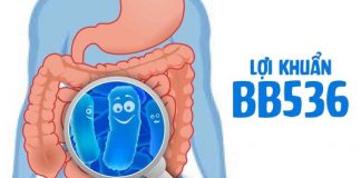 Lợi khuẩn BB536 là gì? Tổng hợp từ A đến Z thông tin mẹ cần!