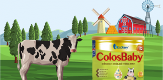 Thành Phần sữa Colosbaby IQ có khác gì so với các dòng khác?