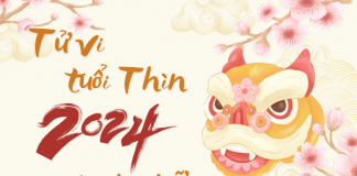 Dự báo tử vi nữ mạng tuổi thìn năm 2024: vận may và thách thức