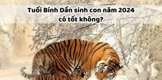 Bố mẹ tuổi Bính Dần sinh con năm 2024 tốt không?