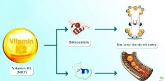 Giải đáp Vitamin K2 là gì? Có tác dụng gì và bổ sung như nào?