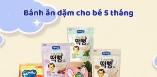 Top 5 bánh ăn dặm cho bé 5 tháng tốt nhất hiện nay