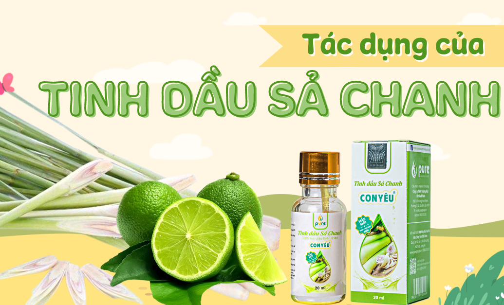 tac-dung-cua-tinh-dau-chanh-sa-1.jpg