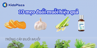 Mách mẹ 10 mẹo đuổi muỗi hiệu quả cho bé yêu và gia đình