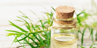 Tinh dầu tràm là gì? Có công dụng như thế nào?