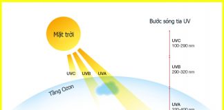 Tia UV là gì? Lợi ích và tác hại của tia UV đối với làn da trẻ nhỏ tia-UV-la-gi-1