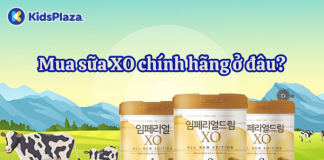 Hé lộ địa chỉ mua sữa XO chính hãng mới nhất, giá tốt, uy tín