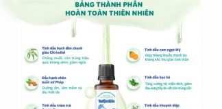 Tinh dầu đuổi muỗi có hại không? Top tinh dầu đuổi muỗi tốt nhất cho bé