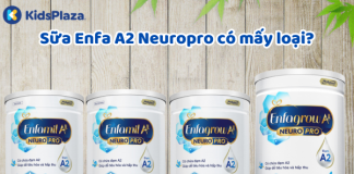 Sữa Enfa A2 Neuropro có mấy mấy loại? Cập nhật bảng giá từng loại