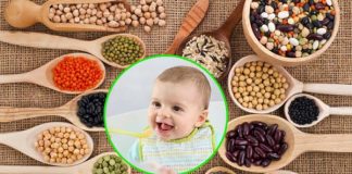 Hướng dẫn mix các loại hạt cho bé ăn dặm giúp bé tăng, cân đủ chất Có rất nhiều loại hạt tốt cho trẻ ăn dặm