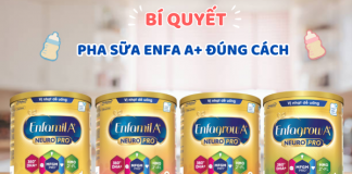 Bí quyết pha sữa Enfa A+ an toàn và đơn giản với 5 bước