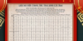 Gợi ý cách tính tháng thụ thai sinh con trai năm 2025 ba mẹ nên biết Bảng lịch vạn niên tính tháng sinh con trai