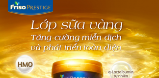 Khám phá sữa Friso Prestige giải pháp tiêu hóa khỏe mạnh cho bé yêu