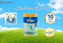 Khám phá thành phần vàng trong sữa Friso Gold Pro 4 cho bé phát triển toàn diện