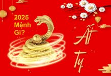 Tìm hiểu năm 2025 là năm con gì, mệnh gì? sinh con hợp với tuổi nào? Năm 2025 là năm Ất Tỵ, con Rắn