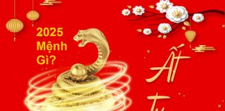 Tìm hiểu năm 2025 là năm con gì, mệnh gì? sinh con hợp với tuổi nào? Năm 2025 là năm Ất Tỵ, con Rắn