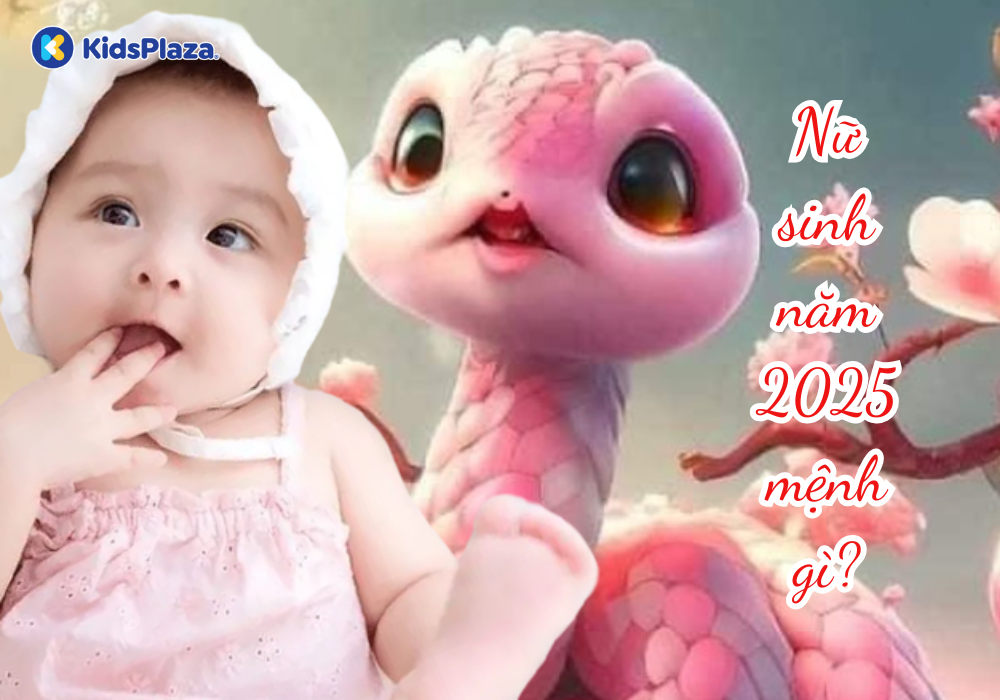 2025 Mệnh Gì Nữ? Tìm Hiểu Vận Mệnh, Tính Cách và Phong Thủy Dành Cho Phụ Nữ